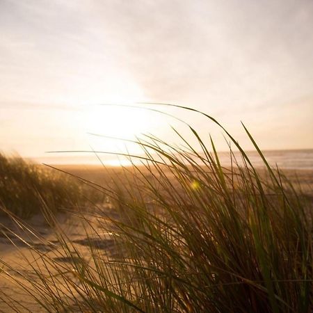Grosse Nordseewelle Ohne Hund Norden Extérieur photo