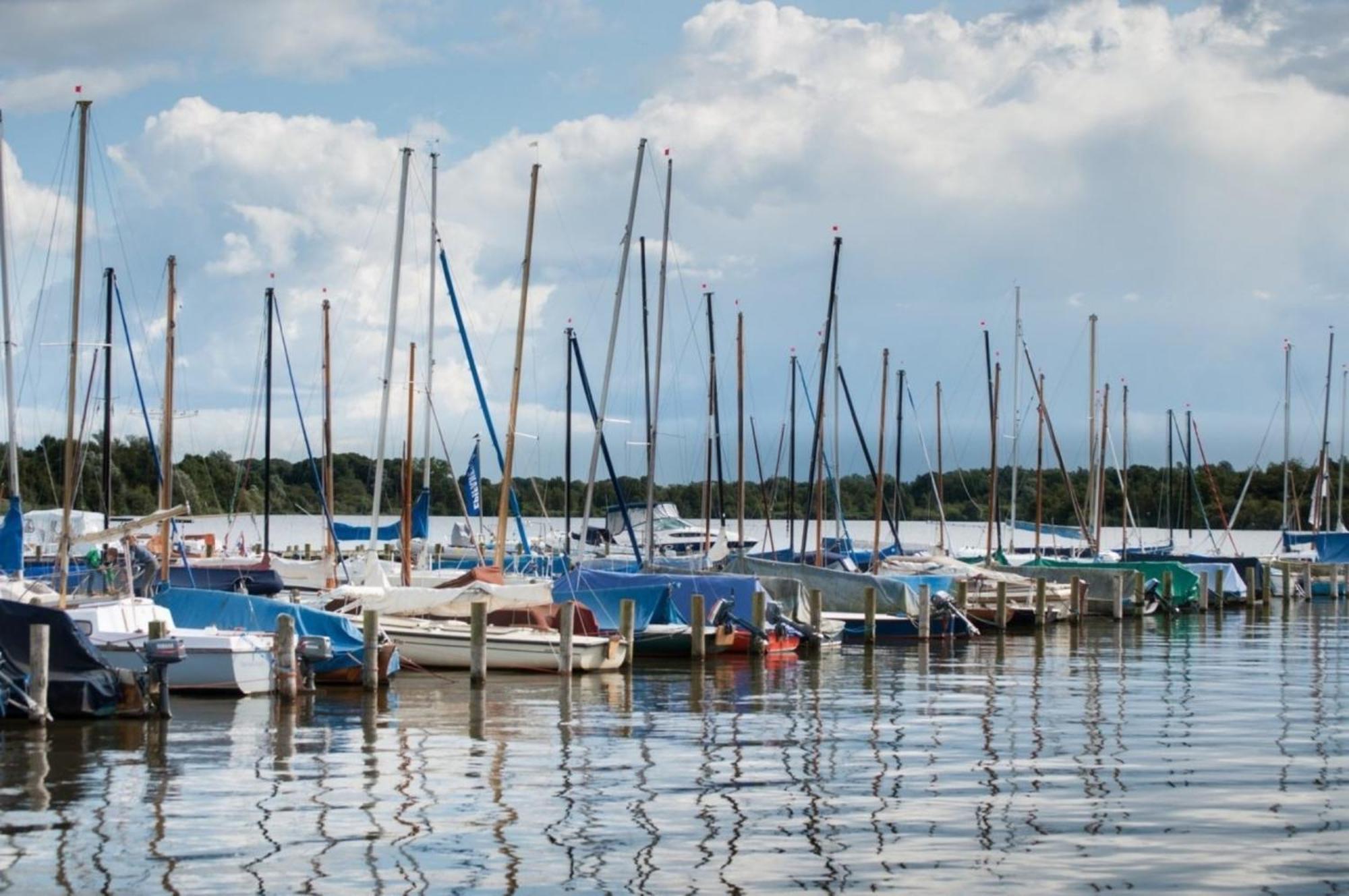 Grosse Nordseewelle Ohne Hund Norden Extérieur photo
